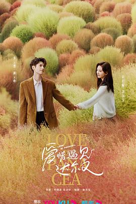 seo页面优化都有哪些